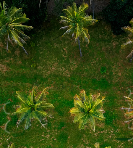 Plotted Development 1